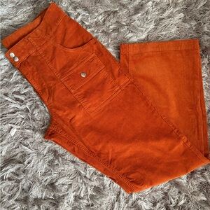 BDG Rust Corduroy Pants